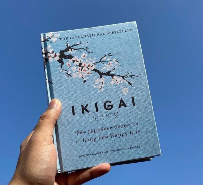 《冲绳岛幸福长寿秘诀 IKIGAI》