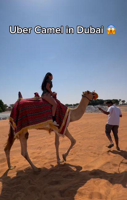 自称受困迪拜沙漠 女子竟用Uber叫到骆驼（取自@jetset.dubai IG）