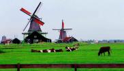荷兰农牧业